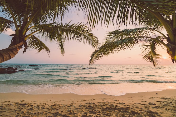 Foto gratuito bella isla paraíso con playa y mar