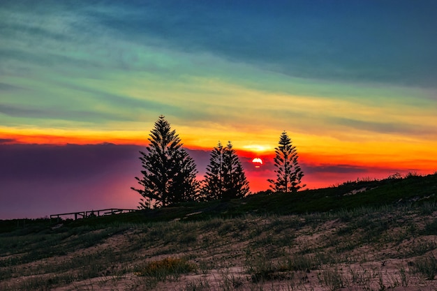 Foto gratuito campo cubierto de hierba con siluetas de árboles durante una hermosa puesta de sol en la noche