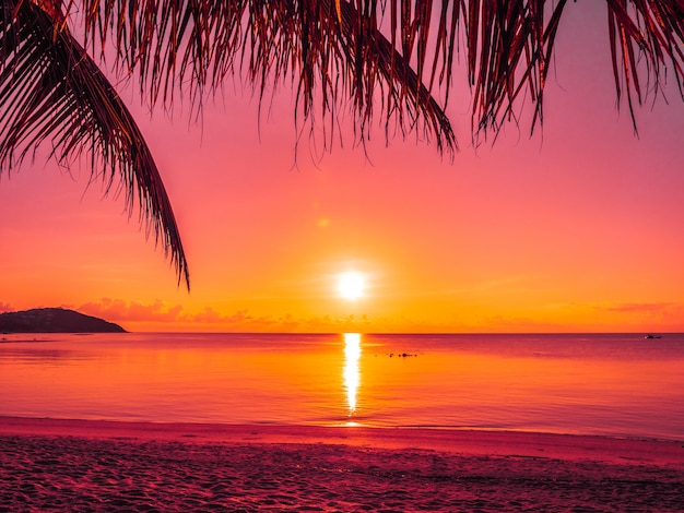 Foto gratuito hermosas playas tropicales, mar y océano con palmeras de coco al amanecer.
