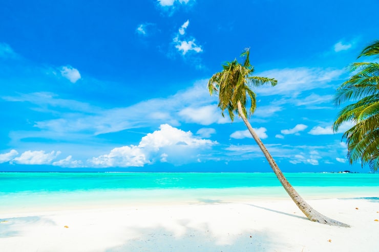 Foto gratuito isla maldivas