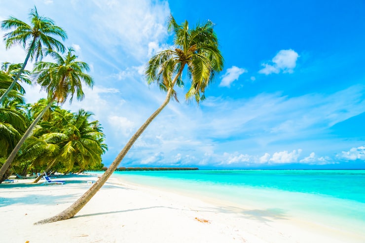 Foto gratuito isla maldivas