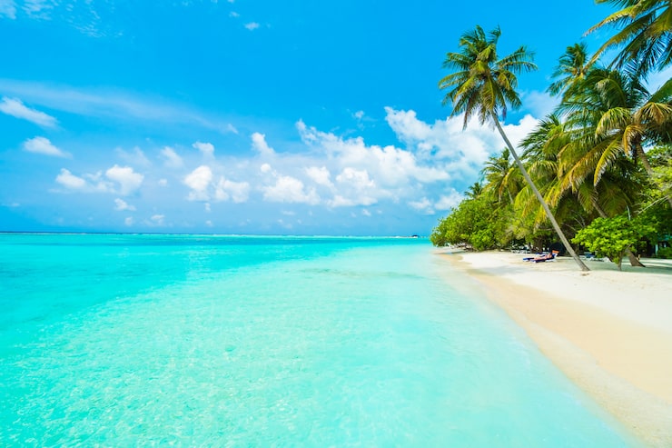 Foto gratuito isla maldivas