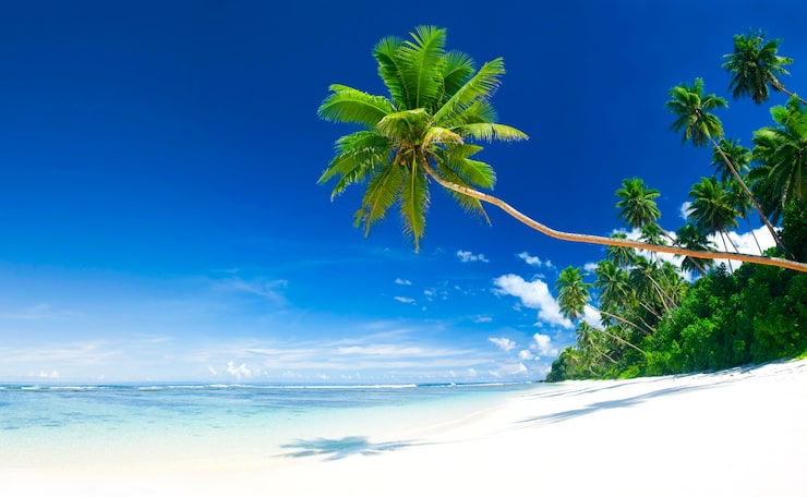 Foto gratuito playa tropical en samoa