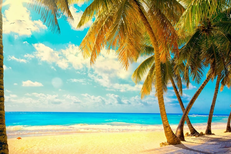 Foto hermosas puestas de sol sobre el mar con vistas a las palmeras en la playa blanca de una isla del caribe