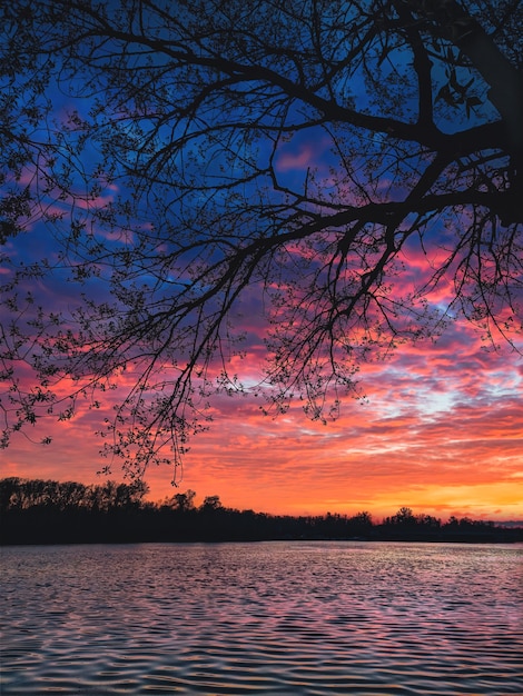 Foto hermoso atardecer con vista al río.