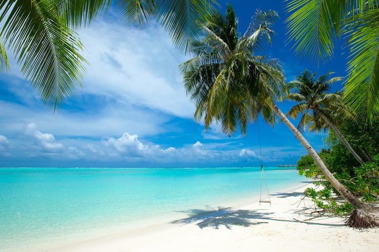 Foto isla tropical de maldivas con playa de arena blanca y mar.