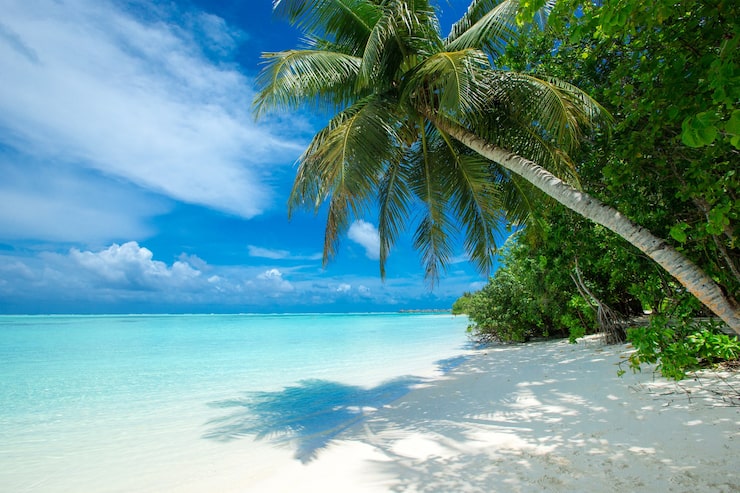 Foto isla tropical de maldivas con playa de arena blanca y mar.