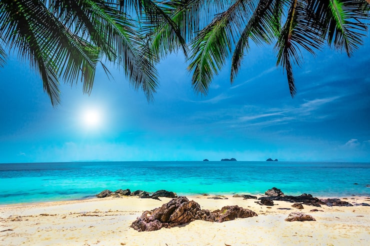Foto palmeras en la playa tropical y el cielo azul con nubes blancas en la provincia de krabi, tailandia