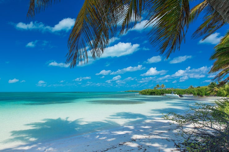 Foto playa y mar tropical