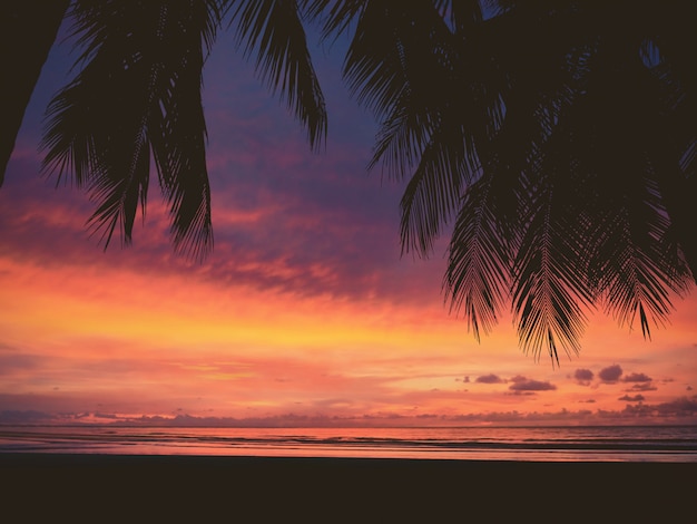 Foto silueta de mujer y palmera en la playa al atardecer