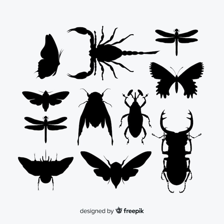 Free Vector flat insect silhouettes collection