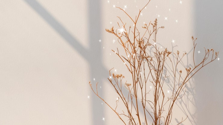 Photo aesthetic beige desktop wallpaper dried flower with shadow glitter design