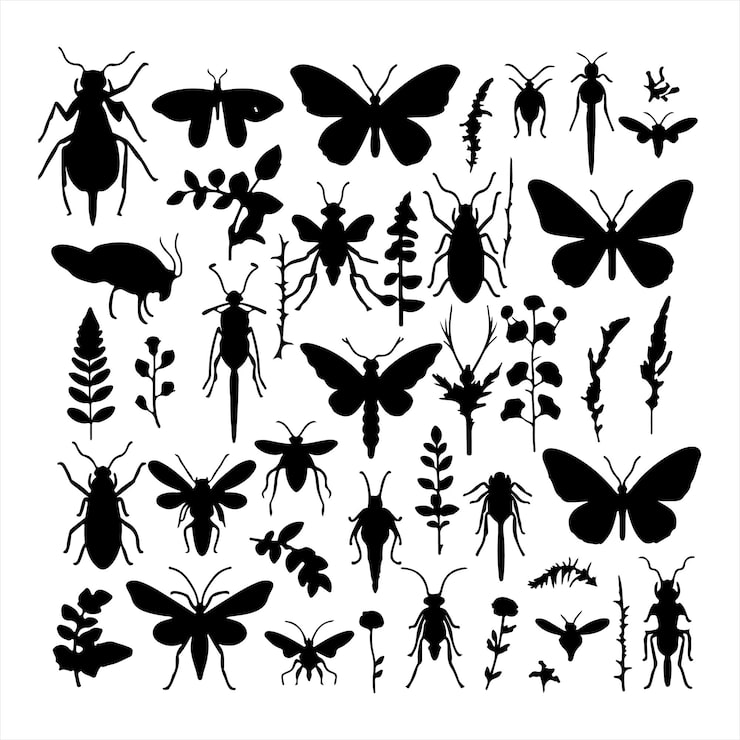 Vector garden insect set silhouette on white background