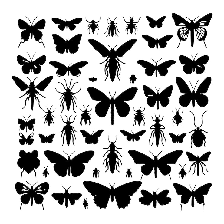 Vector garden insect set silhouette on white background