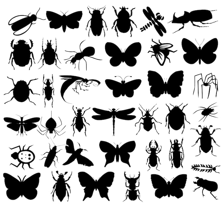 Vector silhouettes of insects
