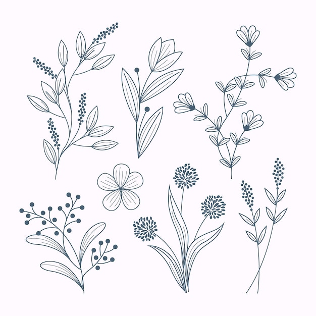 Vector gratuito colección de flores dibujadas a mano