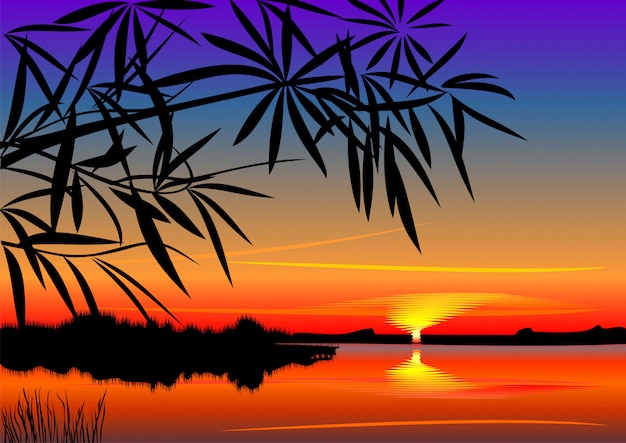 Vector hermosa puesta de sol sobre el lago