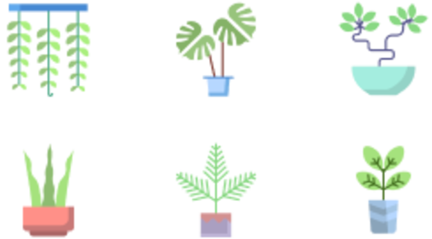 plant biểu tượng